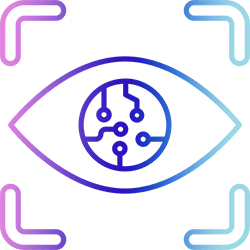 Website & Traffic Insights